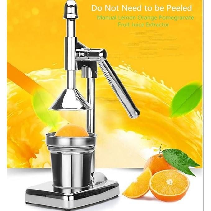 Fruit Juicer